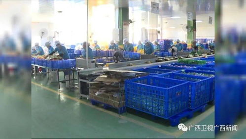 双十一掀起年底消费热潮，食品销售表现亮眼